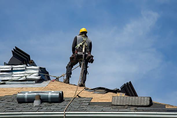 Professional Roofing technician working in Dorchester, NE